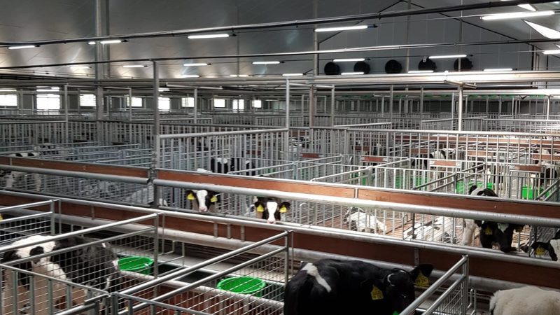 小型宠物用品选品技巧
